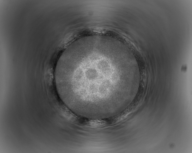 X0000101190707200807251003
