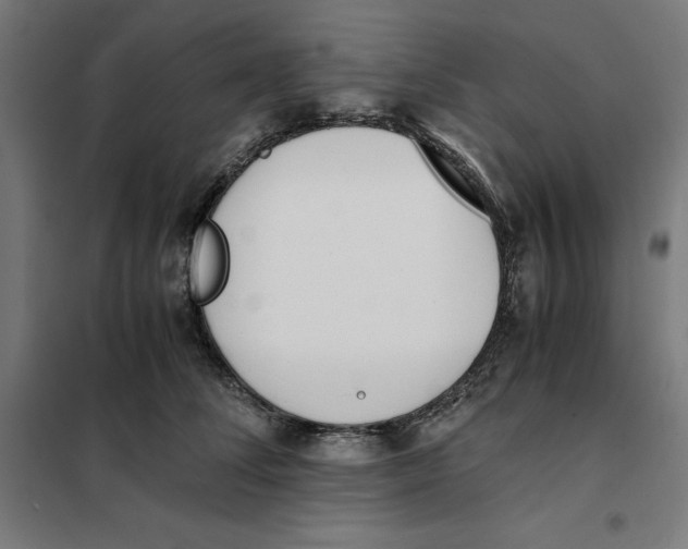X0000101190708200807251003