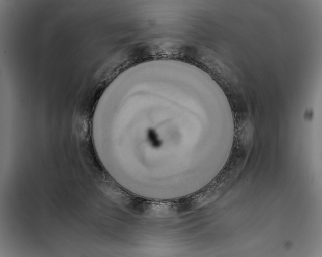 X0000101190709200807251003