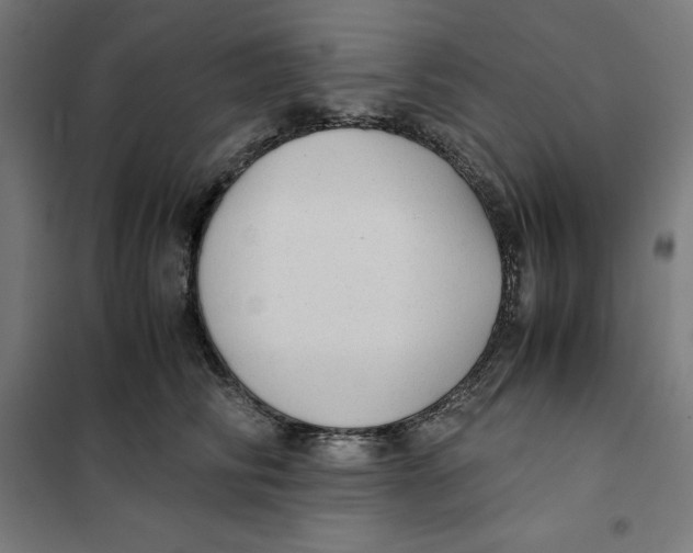 X0000101190710200807251003