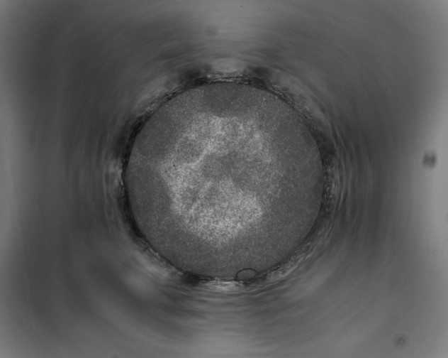 X0000101190711200807251003