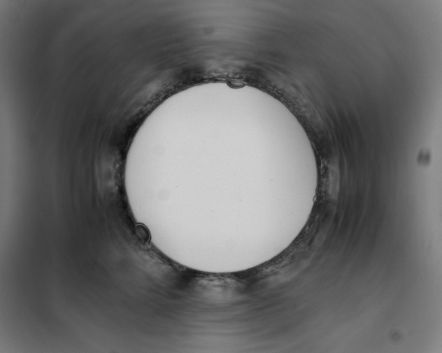 X0000101190712200807251003