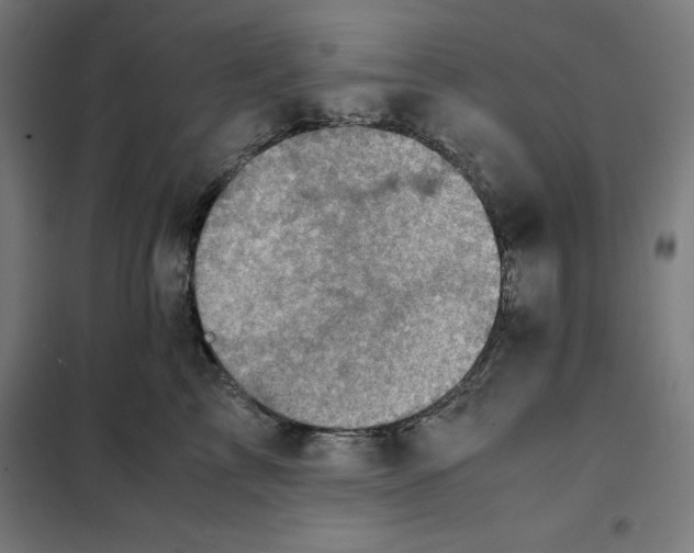 X0000101190713200807251003