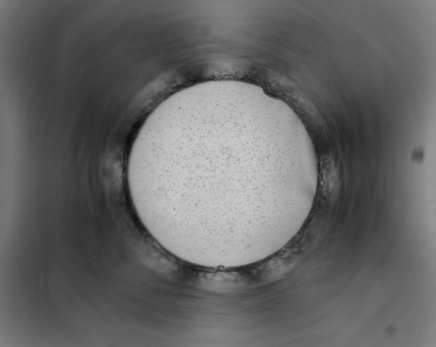X0000101190716200807251003