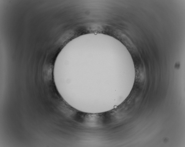 X0000101190717200807251003