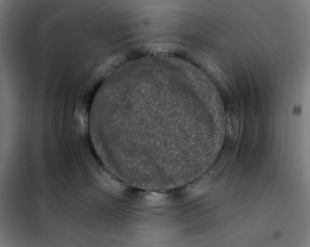 X0000101190718200807251003