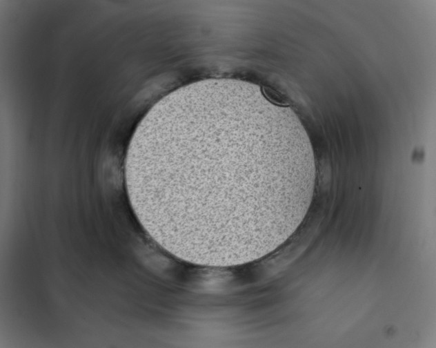 X0000101190719200807251003