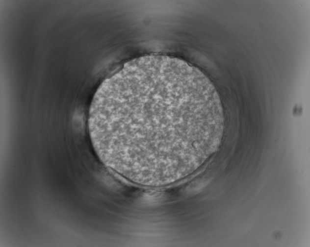 X0000101190720200807251003