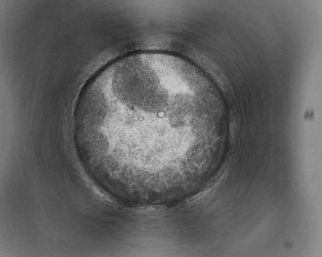 X0000101190721200807251002