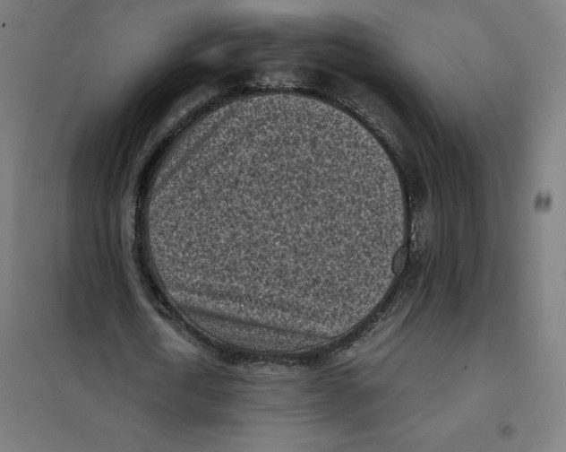 X0000101190722200807251002