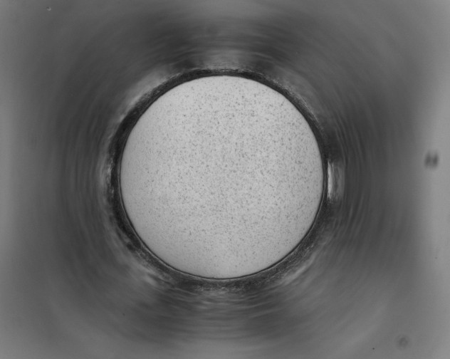 X0000101190723200807251002