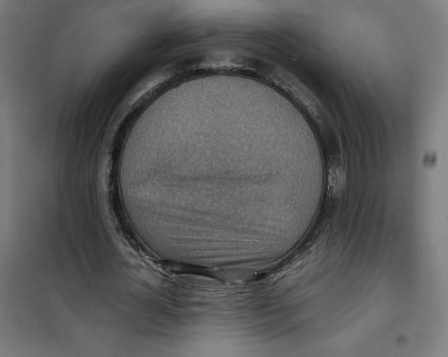 X0000101190724200807251002