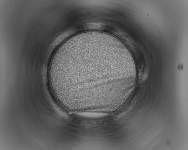 X0000101190725200807251002