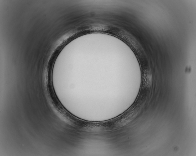 X0000101190726200807251002