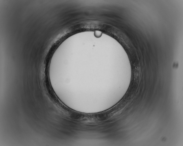 X0000101190727200807251002