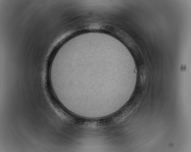X0000101190728200807251002