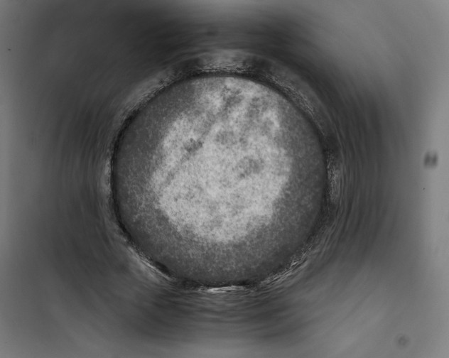 X0000101190729200807251002
