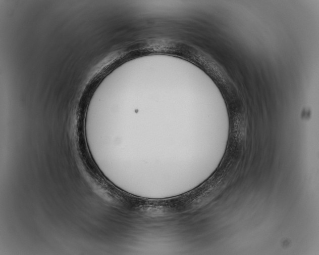 X0000101190730200807251002