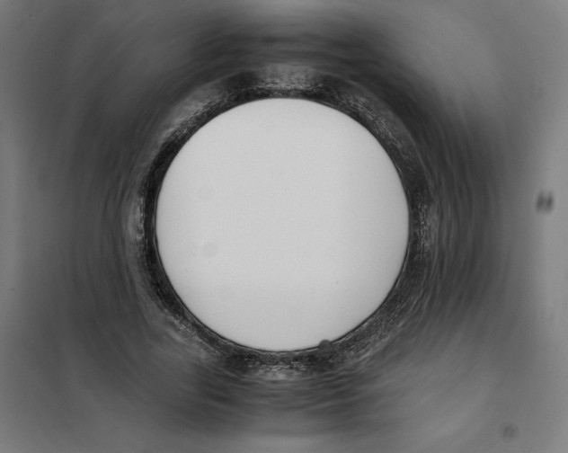 X0000101190731200807251002