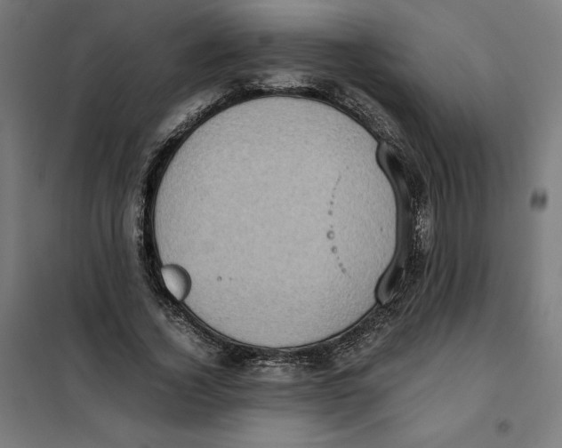 X0000101190732200807251002