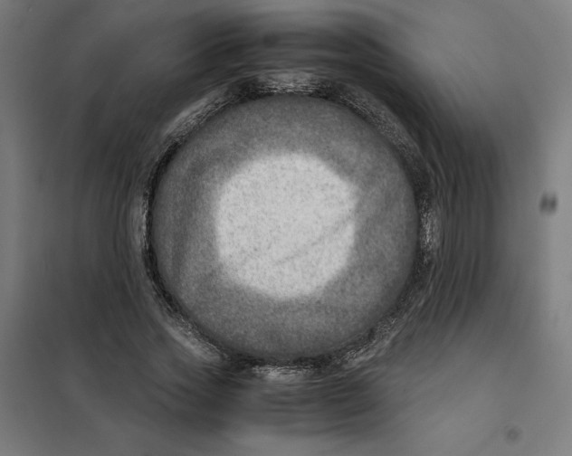 X0000101190733200807251002