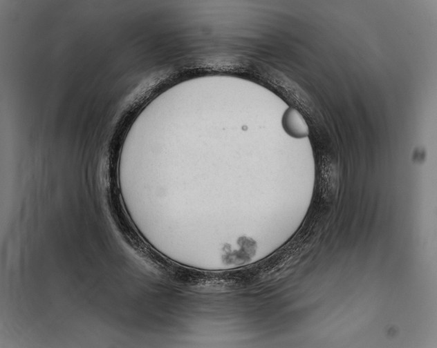 X0000101190734200807251002