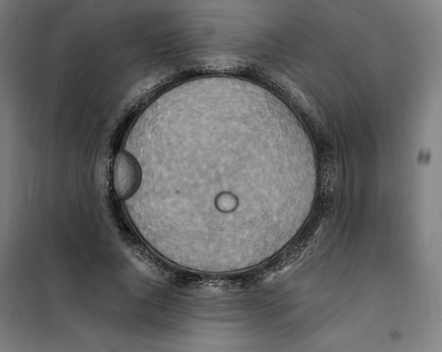 X0000101190736200807251002