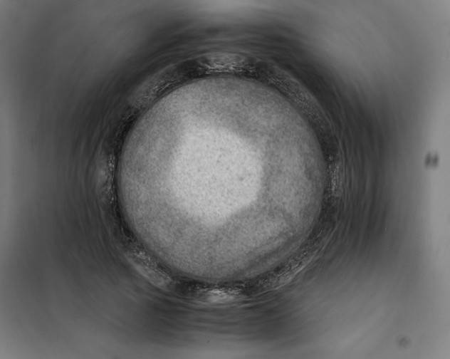 X0000101190737200807251002