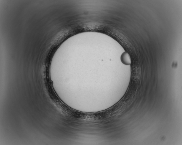 X0000101190738200807251002