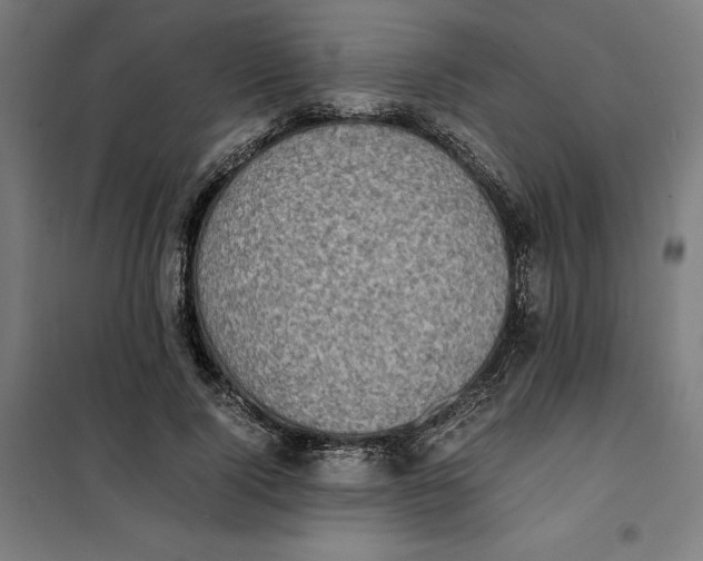 X0000101190740200807251002