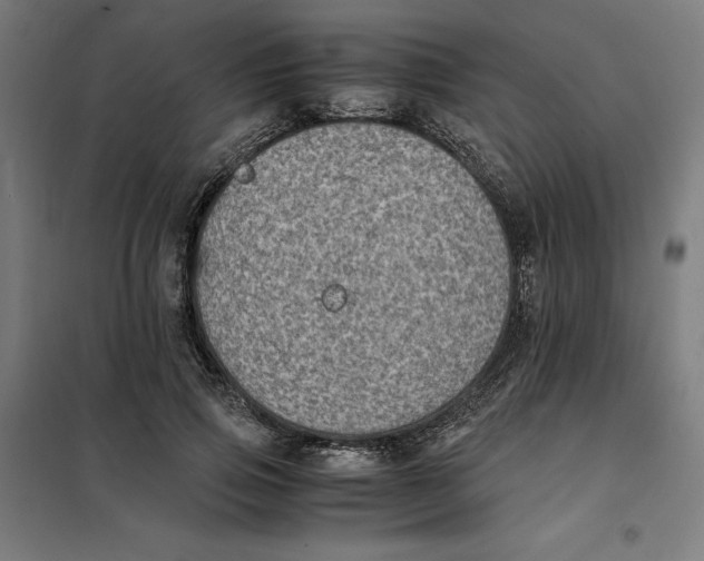 X0000101190741200807251002