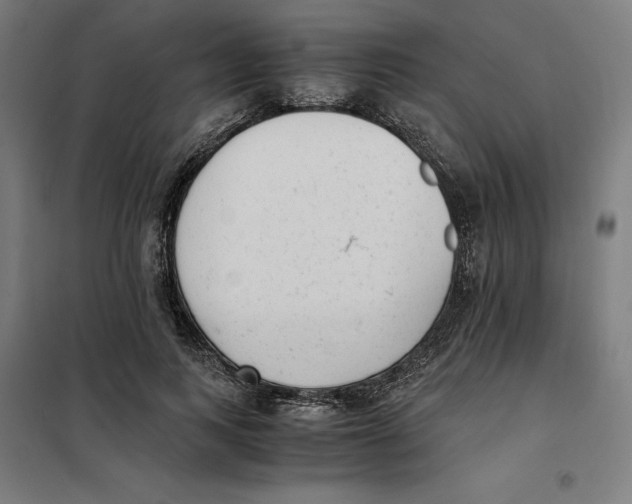 X0000101190743200807251002
