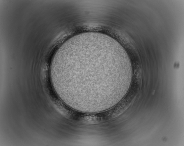 X0000101190744200807251002