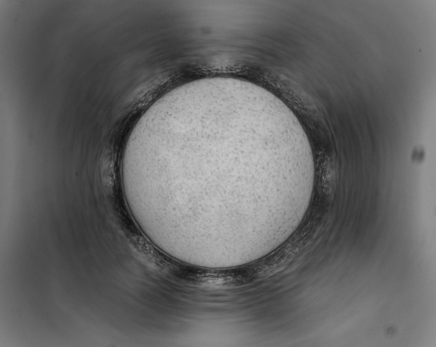 X0000101190746200807251002