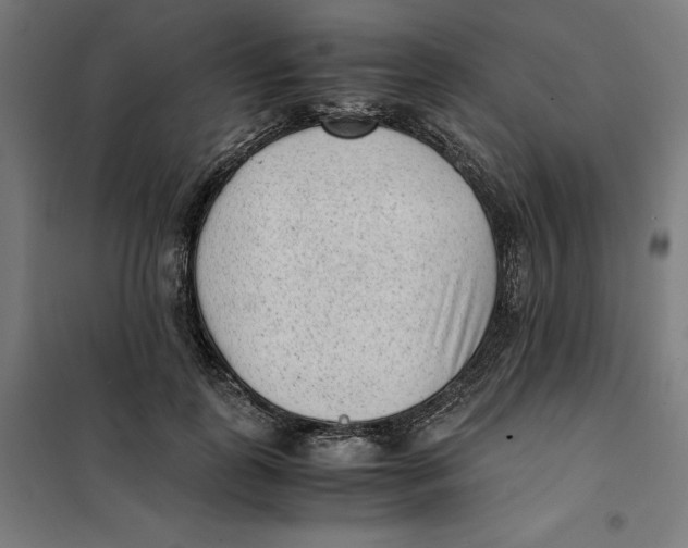 X0000101190747200807251002