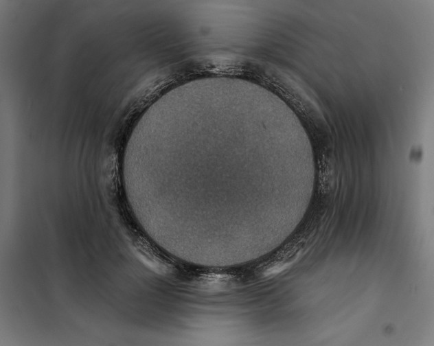 X0000101190748200807251003