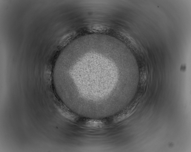 X0000101190749200807251003