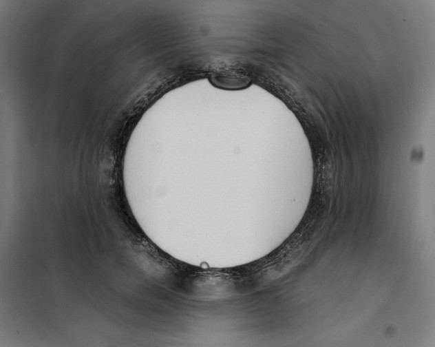 X0000101190750200807251003
