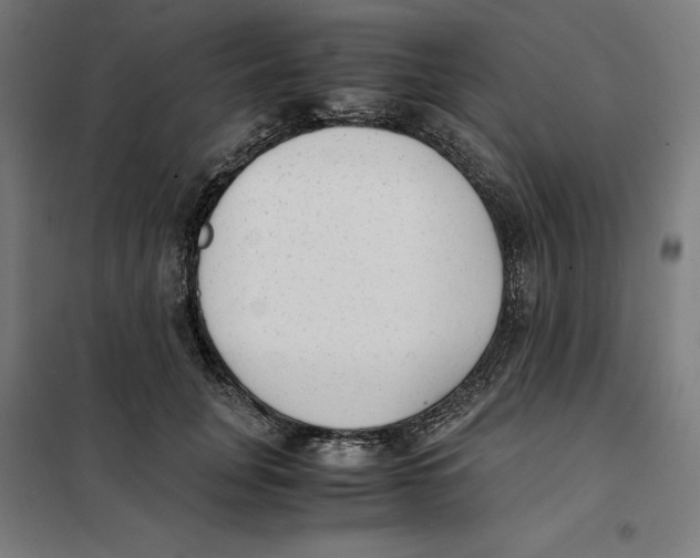 X0000101190751200807251003