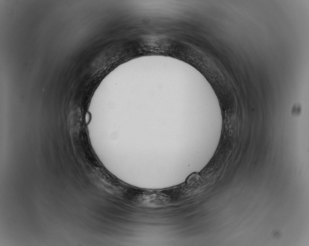 X0000101190752200807251003