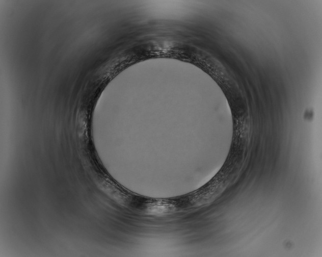 X0000101190754200807251003