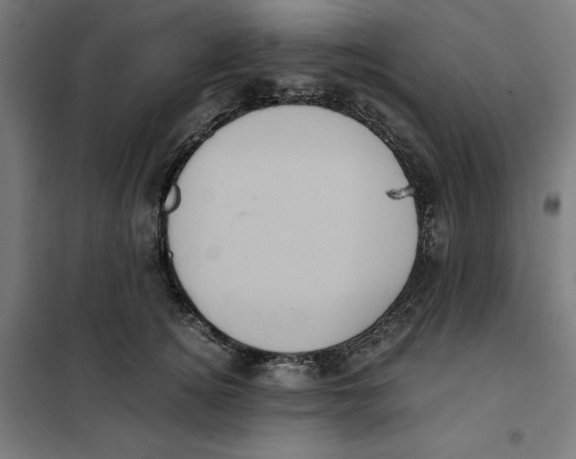 X0000101190756200807251003