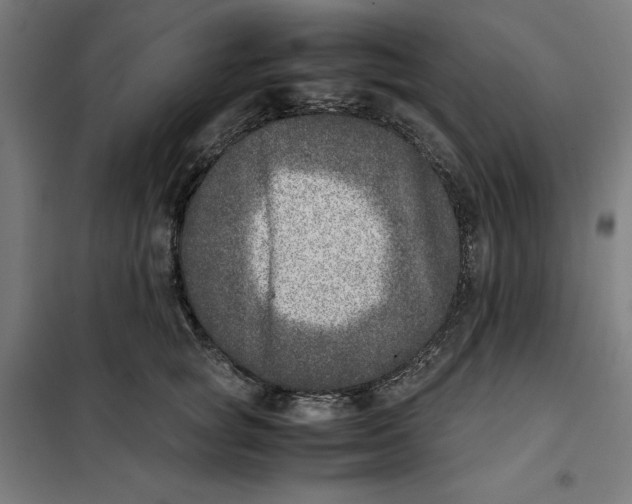 X0000101190757200807251003