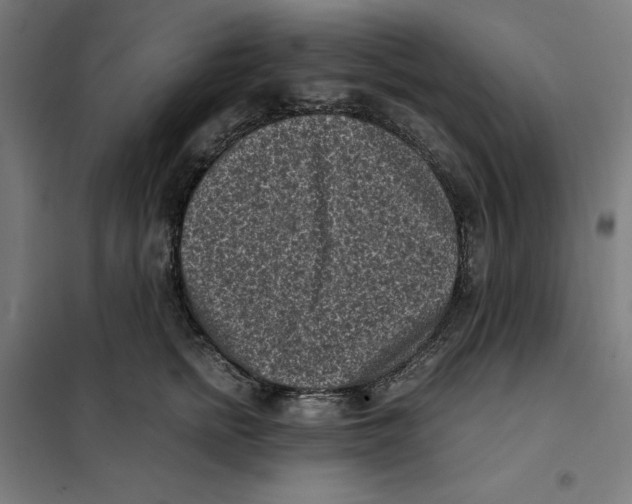 X0000101190758200807251003