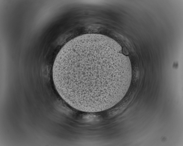 X0000101190759200807251003