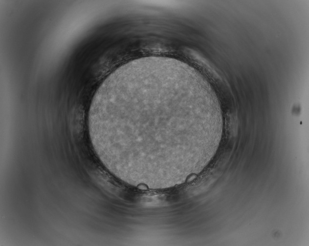X0000101190760200807251003
