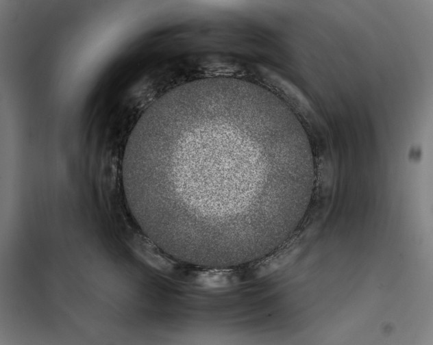 X0000101190761200807251003
