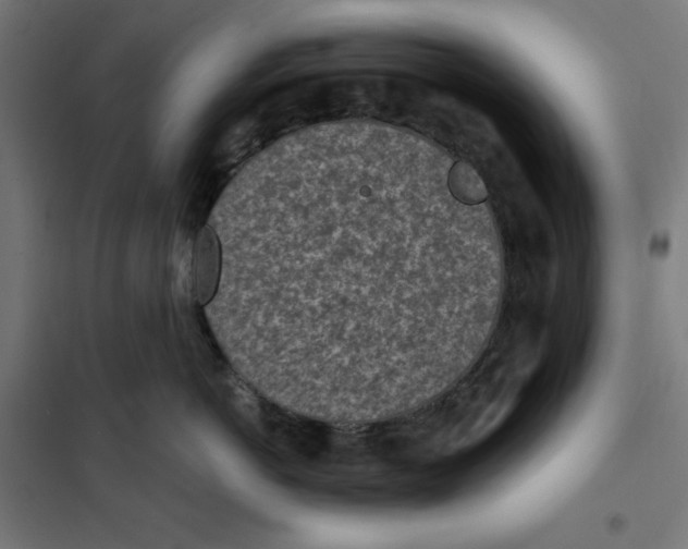 X0000101190766200807251003
