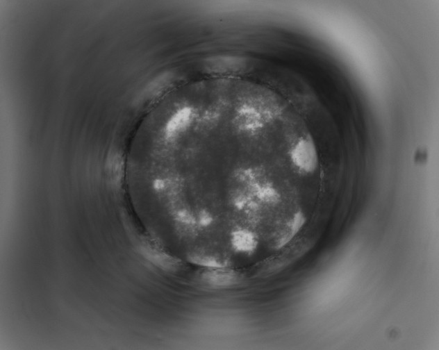 X0000101190767200807251003