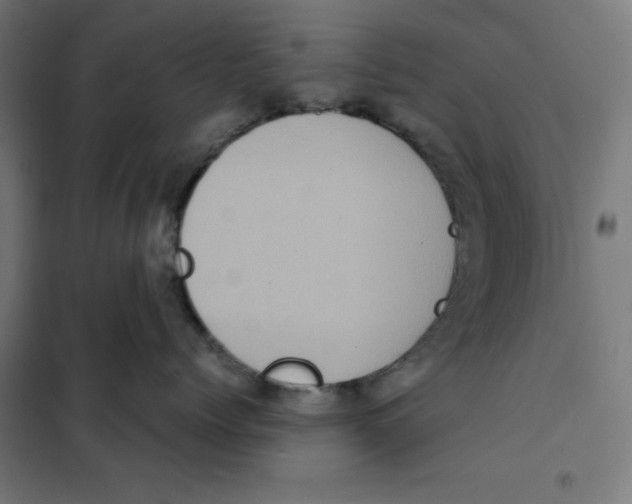 X0000101190768200807251003